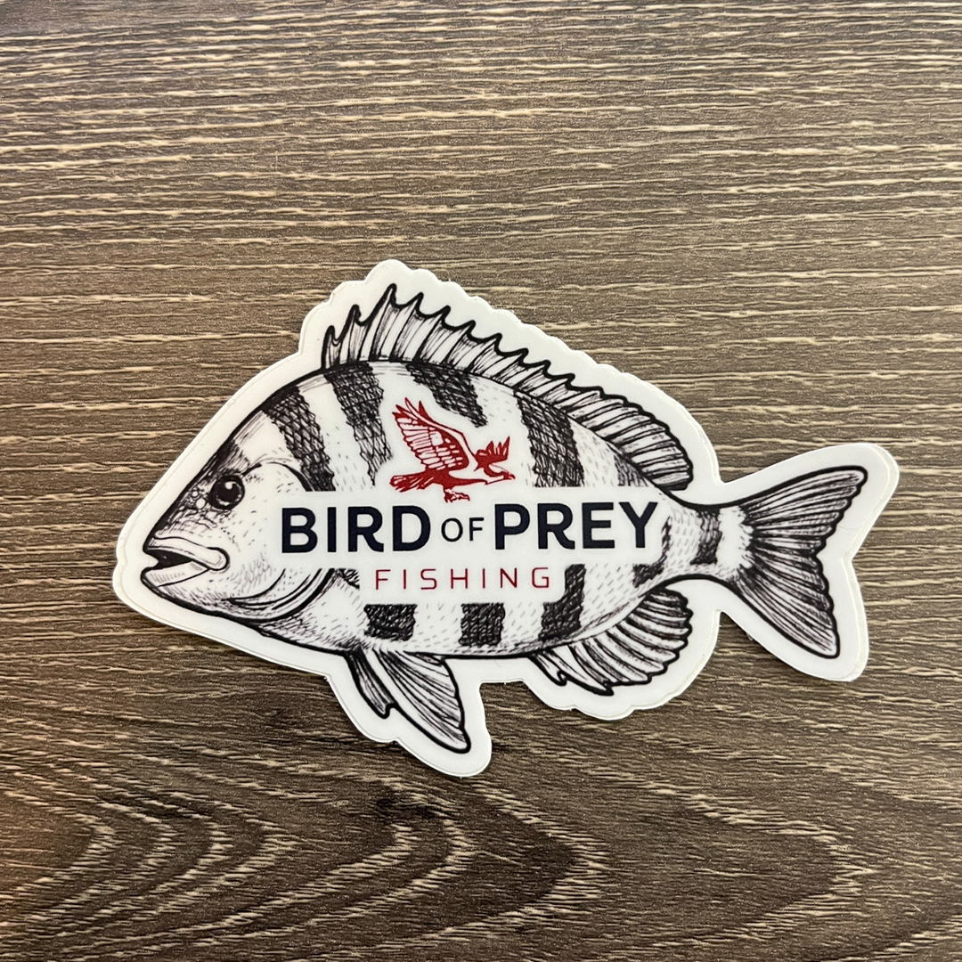 4" Sheepshead Sticker