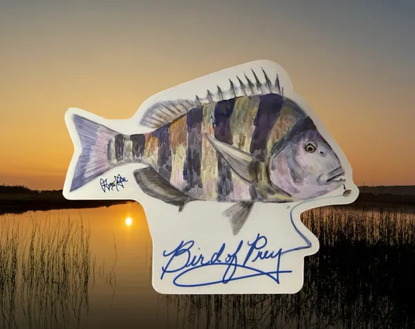 Sheepshead Sticker